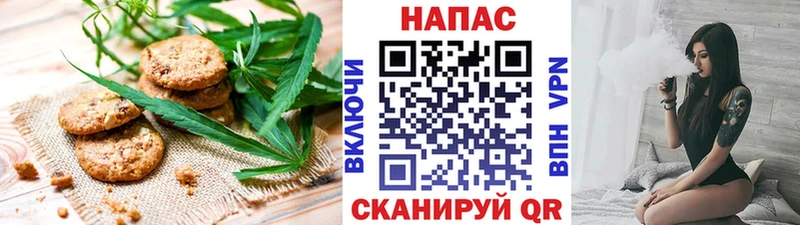 дарнет шоп  Электрогорск  Еда ТГК марихуана 