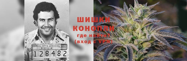 PSILOCYBIN Елизово