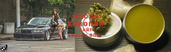 МДПВ Елабуга