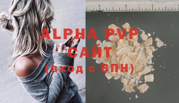 винт Ельня