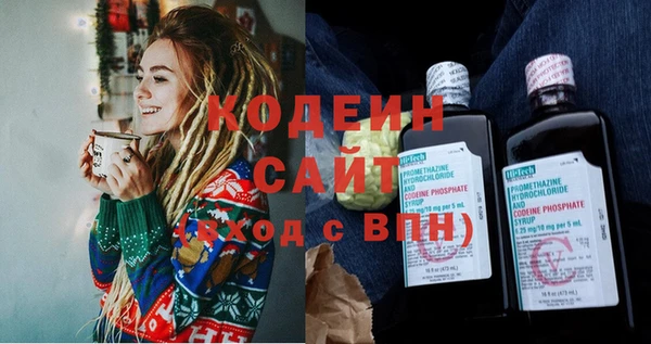 винт Ельня