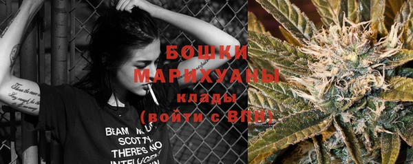 винт Ельня