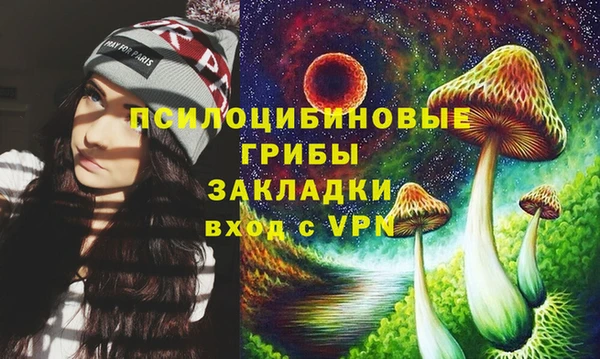 соль ск Янаул