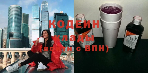 винт Ельня