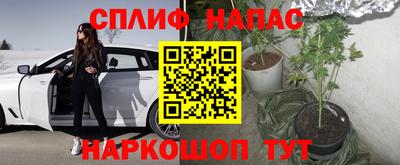 ешки Обь
