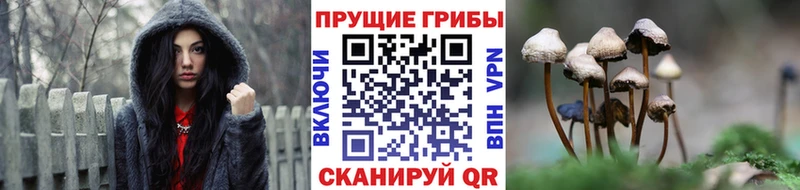 мориарти как зайти  Электрогорск  Галлюциногенные грибы Magic Shrooms  магазин продажи наркотиков 