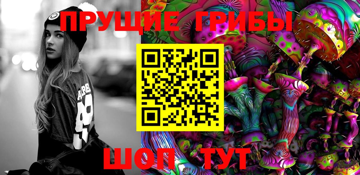 Псилоцибиновые грибы Psilocybine cubensis Электрогорск