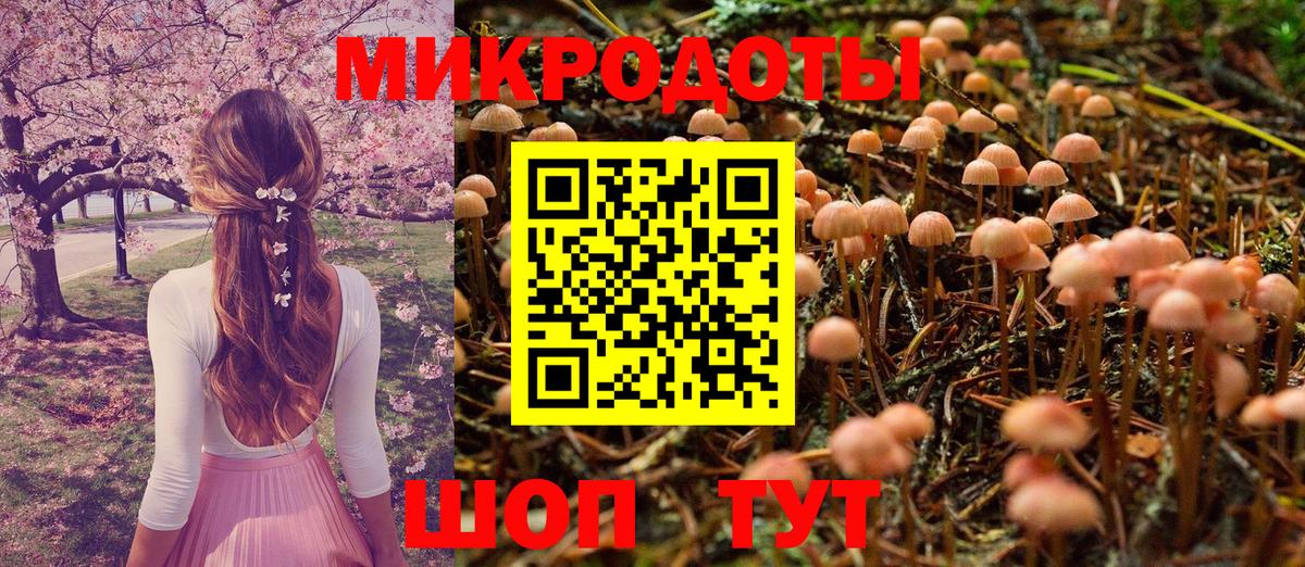 Электрогорск  Галлюциногенные грибы GOLDEN TEACHER  Вход с VPN 